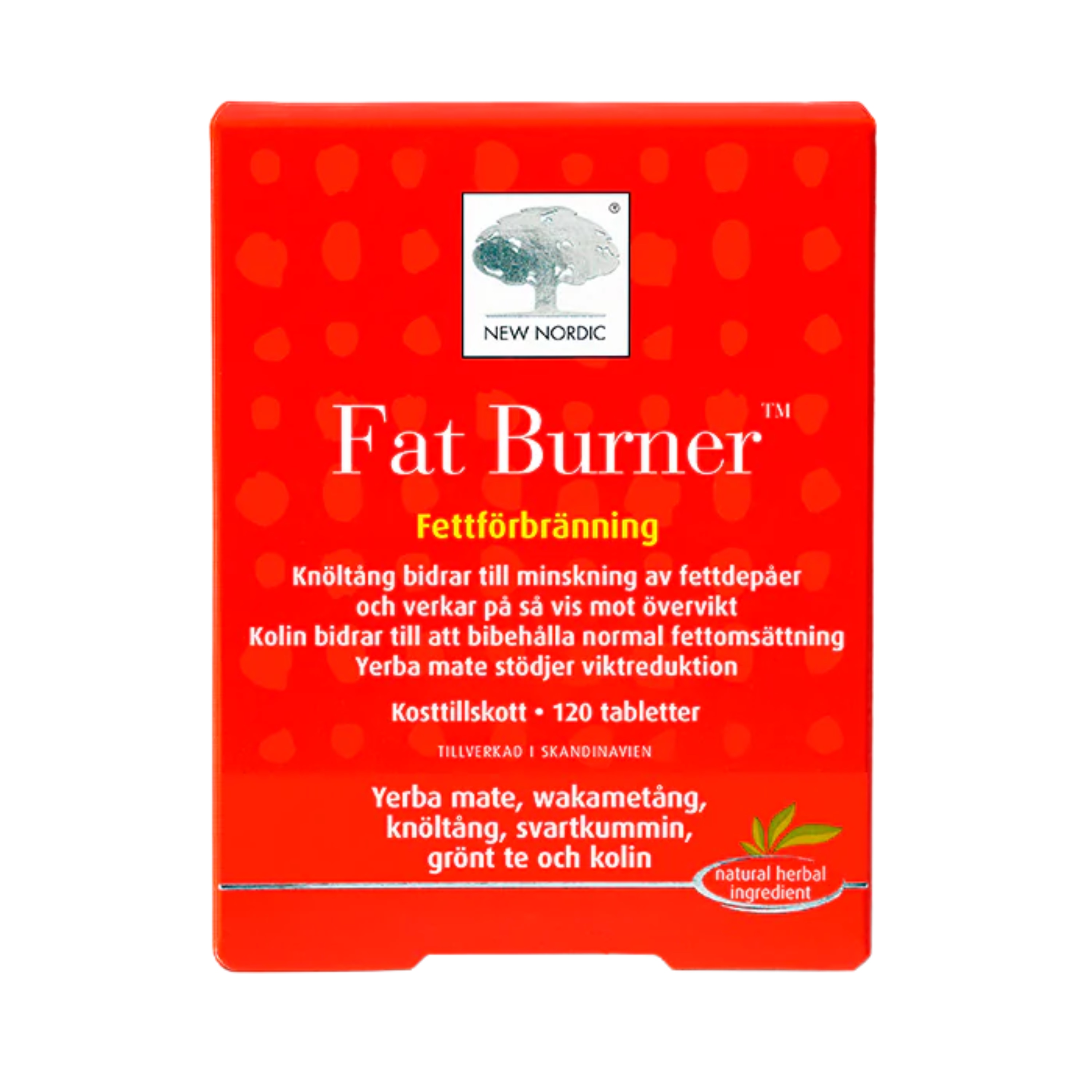 Fat Burner 120t