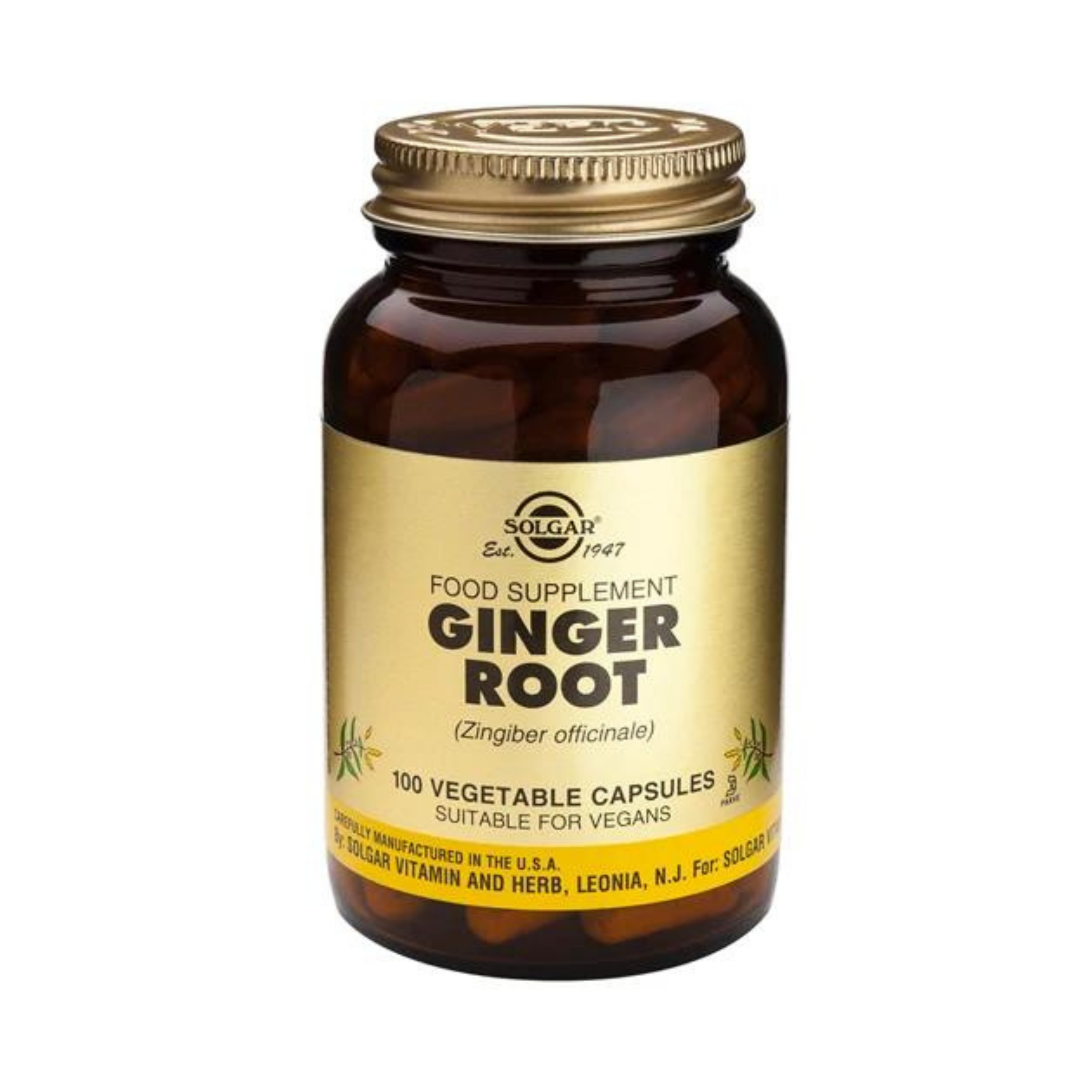 Ginger Root 520mg 100k
