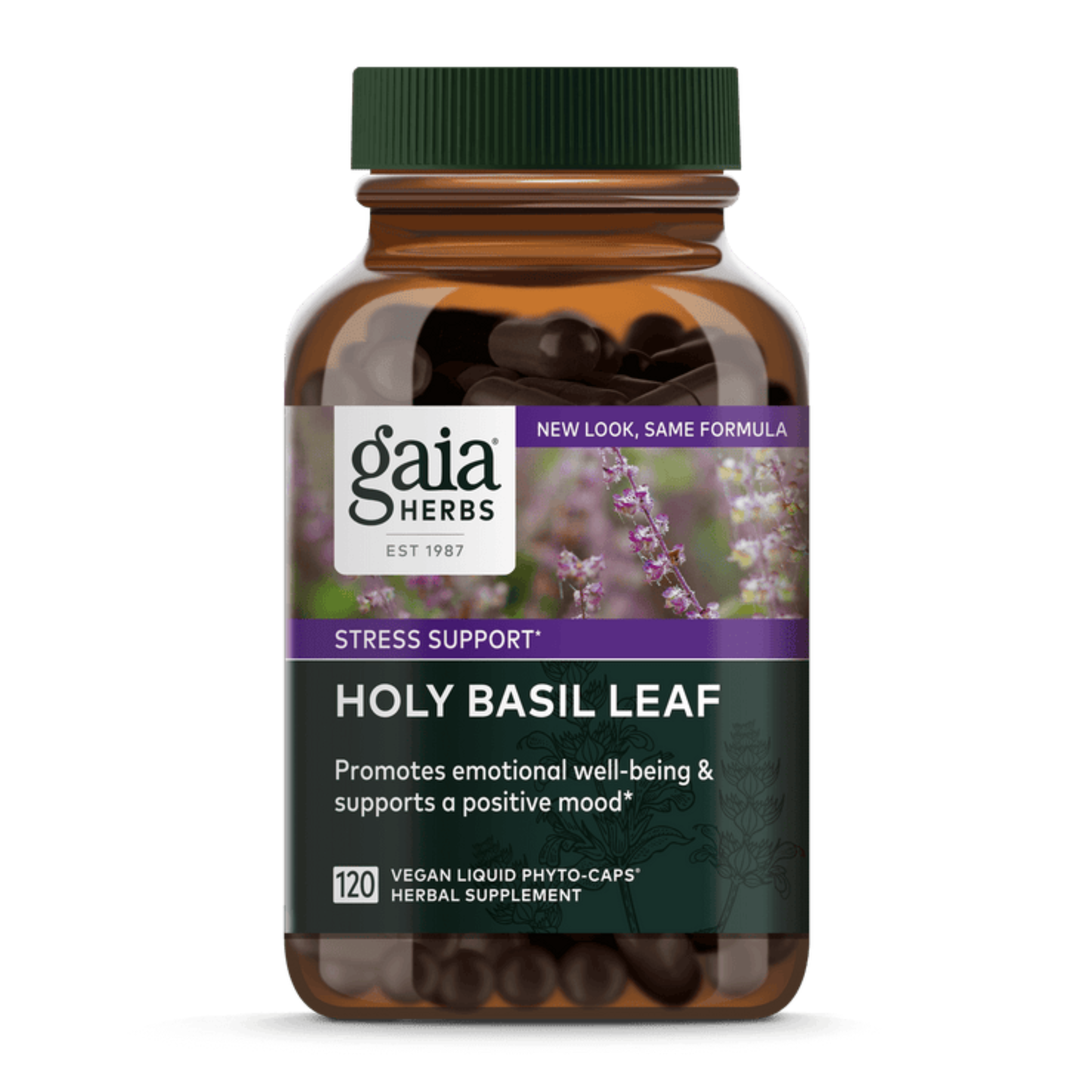 Holy Basil Leaf 60k