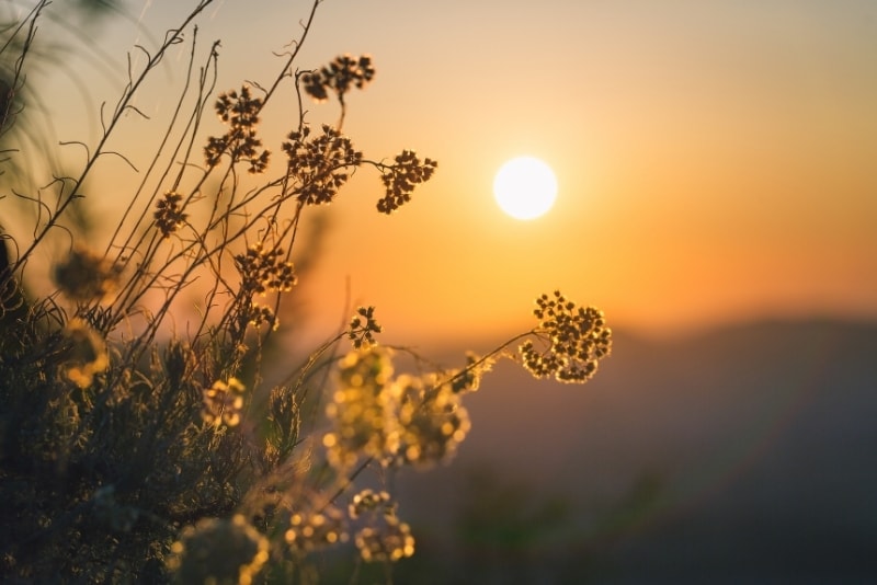 D-vitamin efter sommaren – hur länge räcker solens bidrag?