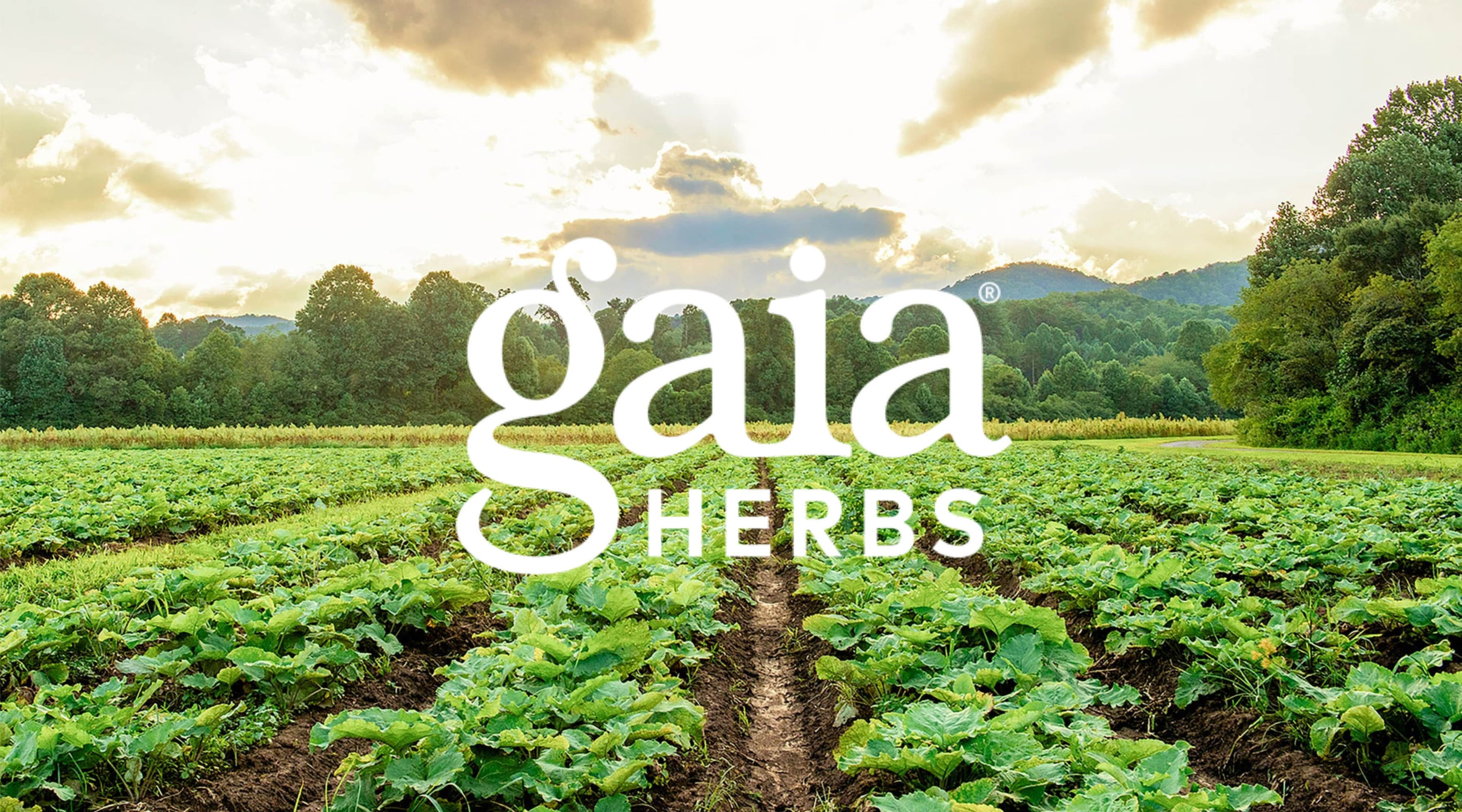 GAIA Herbs® - en upplevelse för kropp och själ