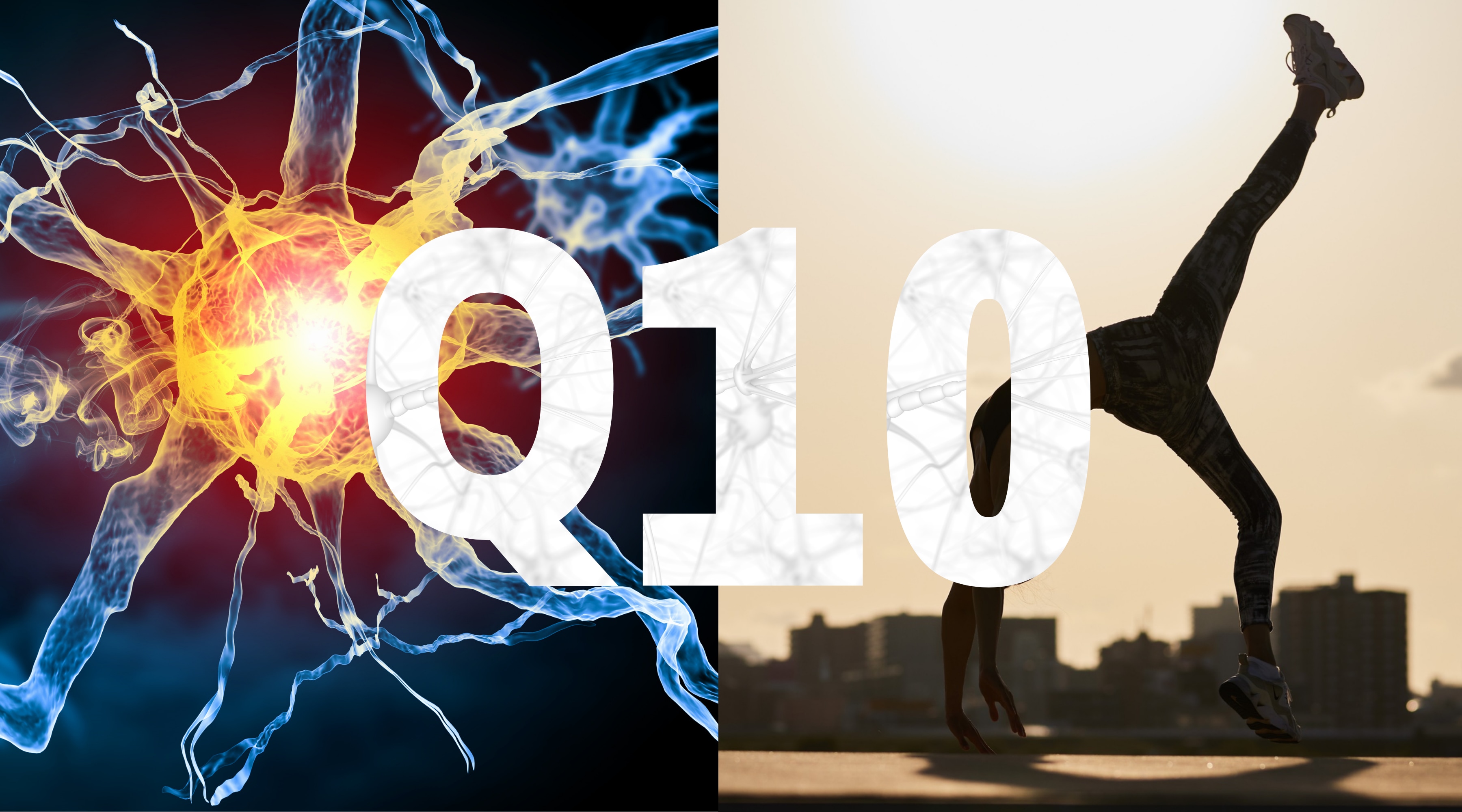 Koenzym Q10 + assisterande näringsämnen – ett samspel för cellernas energi