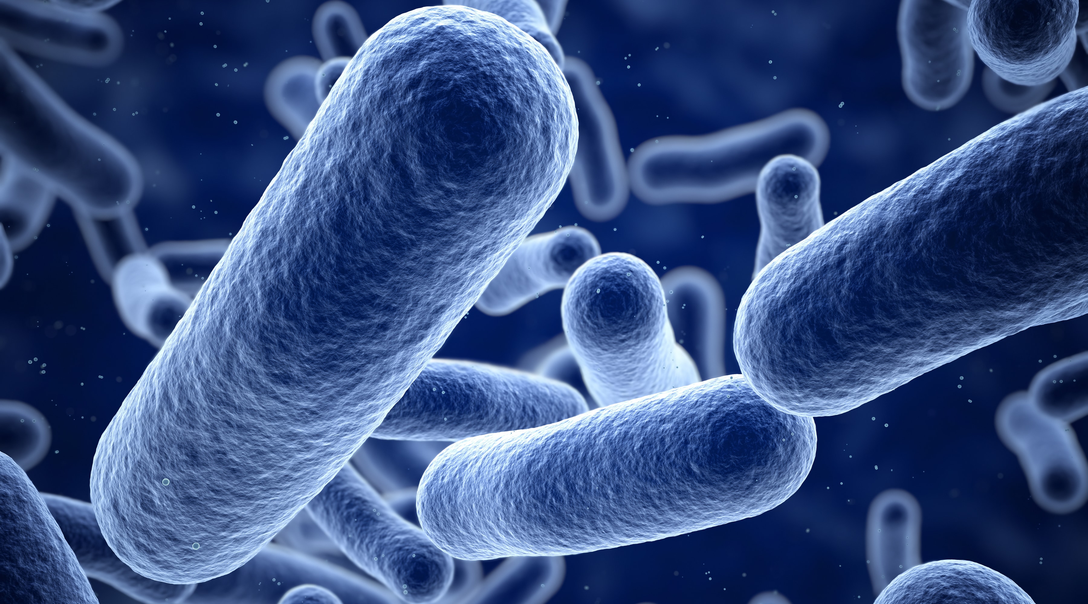 LactiPlus - allt du behöver veta om pionjären inom probiotika