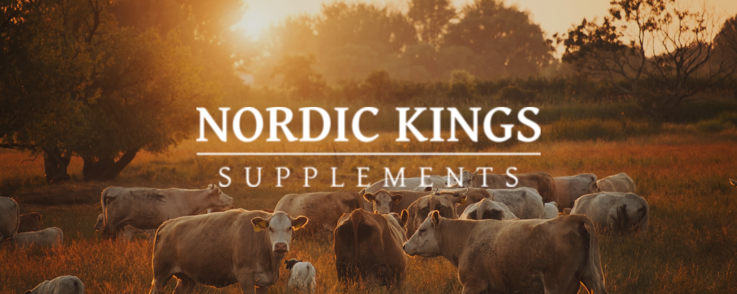 Nordic Kings
