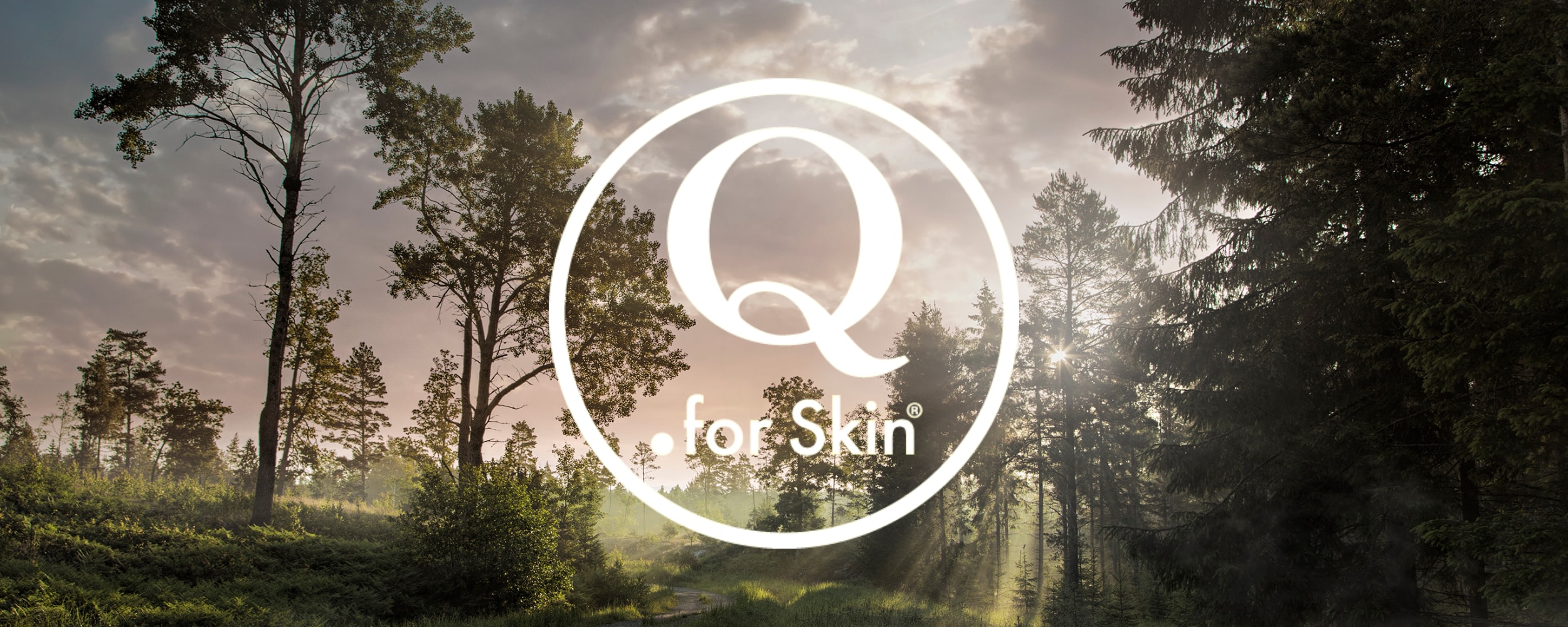 Q for Skin